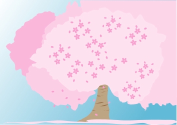 sakura.jpg